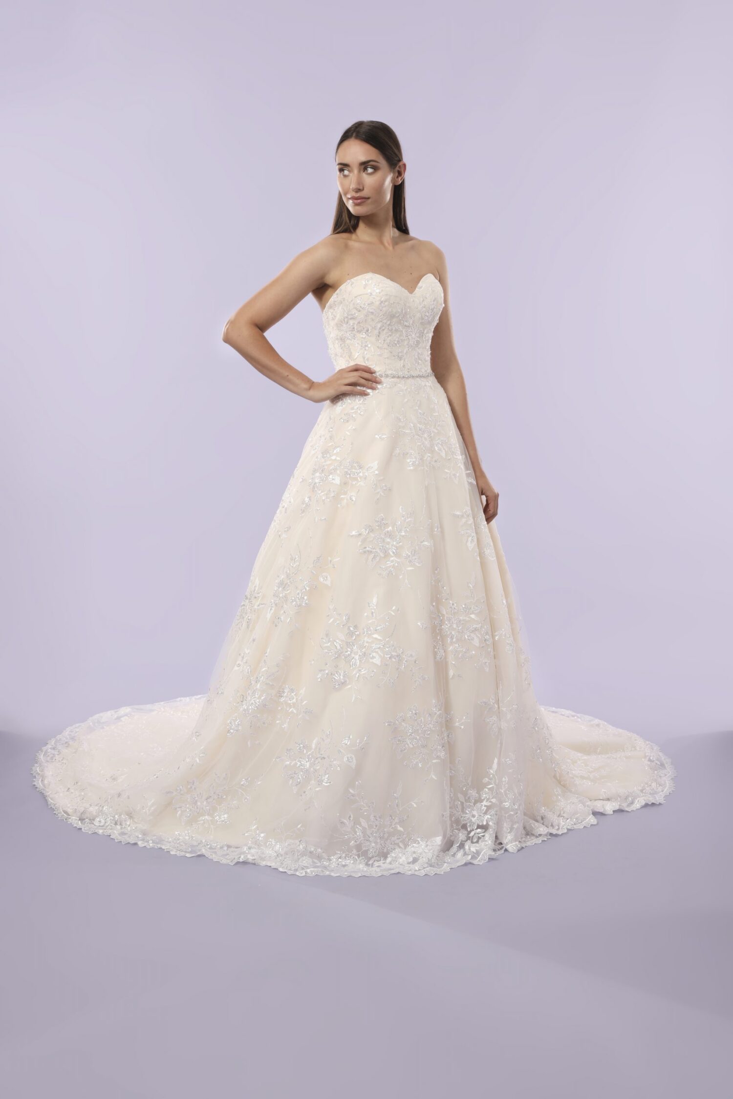 Nevaeh - a traditional strapless ball gown with lace detailing - Image 4